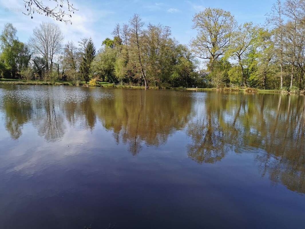 Terrain à SAINT-BRIEUC-DES-IFFS