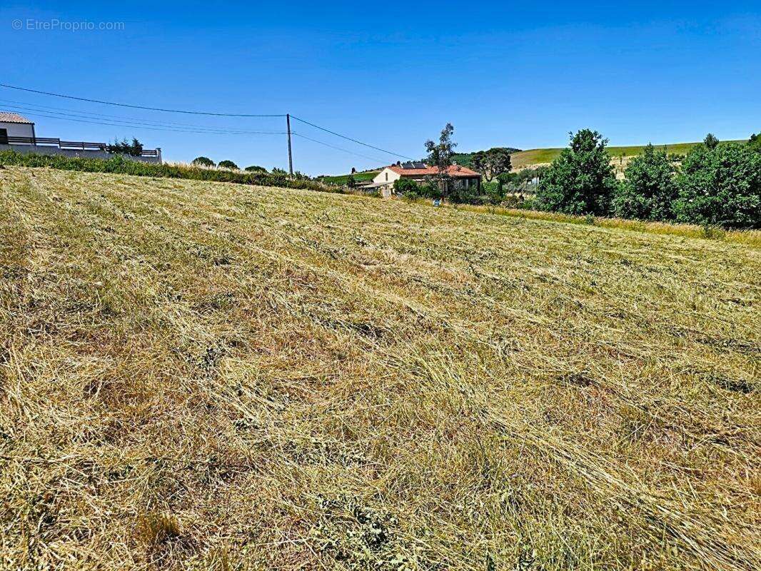 Terrain constructible de 5 201 m² avec vue dégagée , Projet de division en 4 lots - photo 3