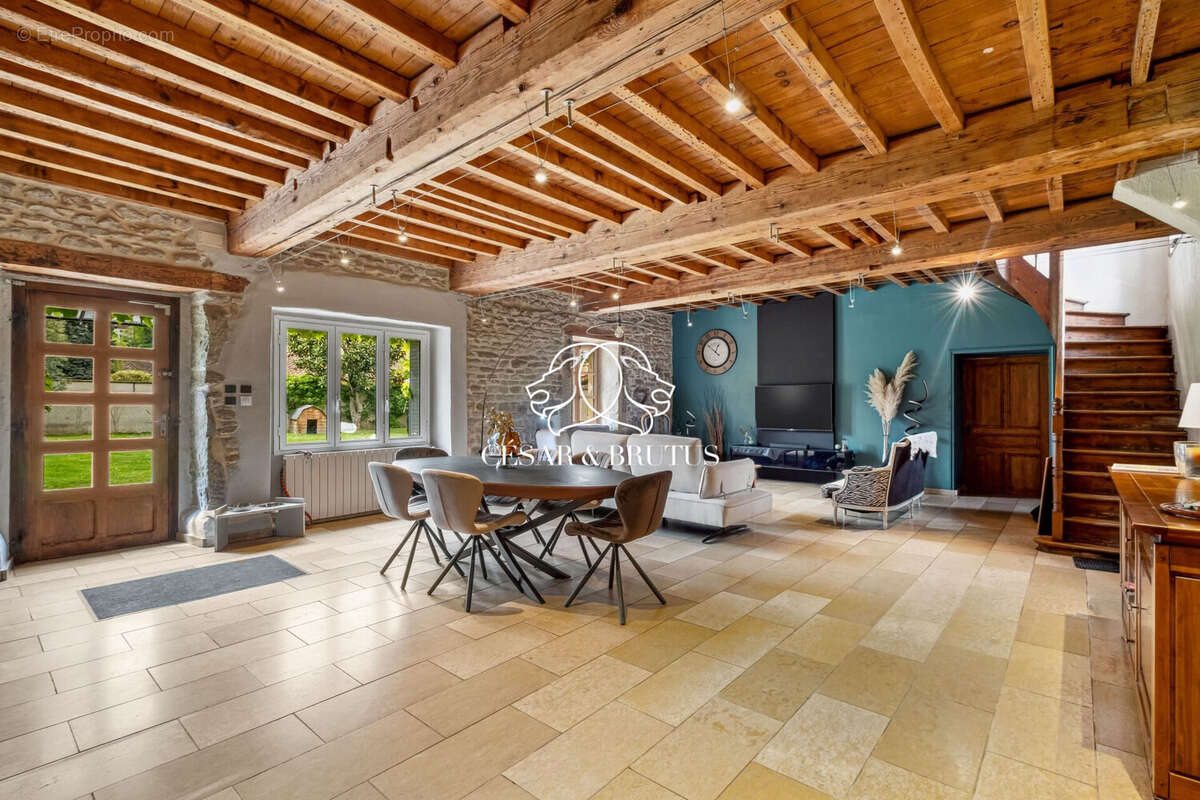 Maison 265 m² à Eyzin-Pinet  - photo 7