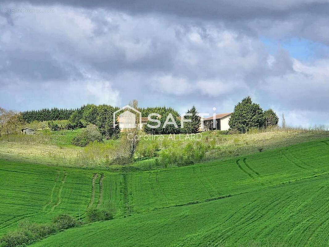 Photo 1 - Maison à SAUVETERRE