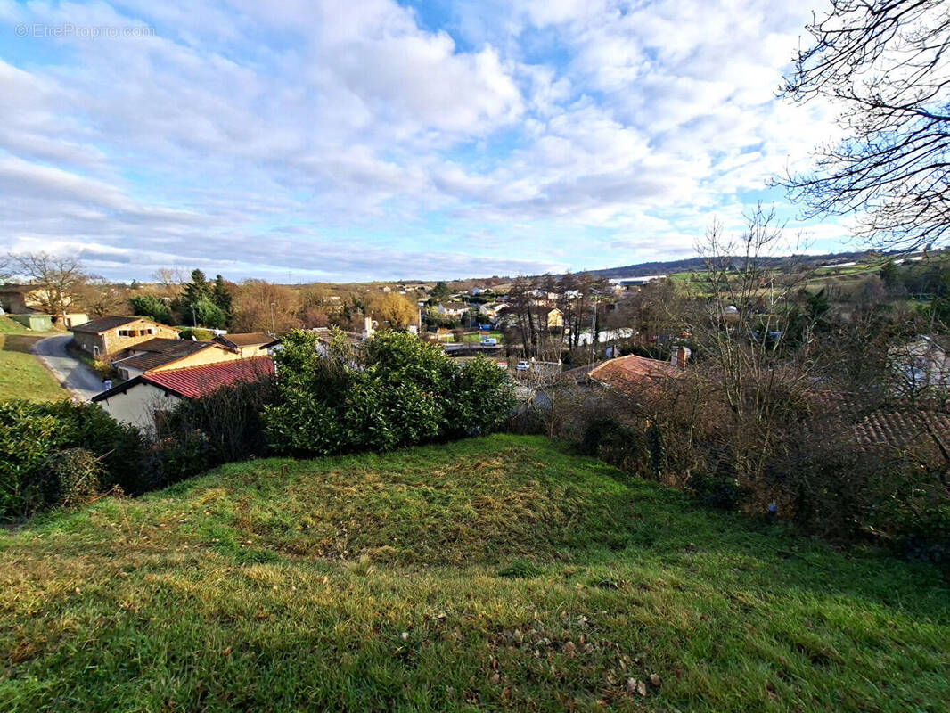 Terrain à THURINS