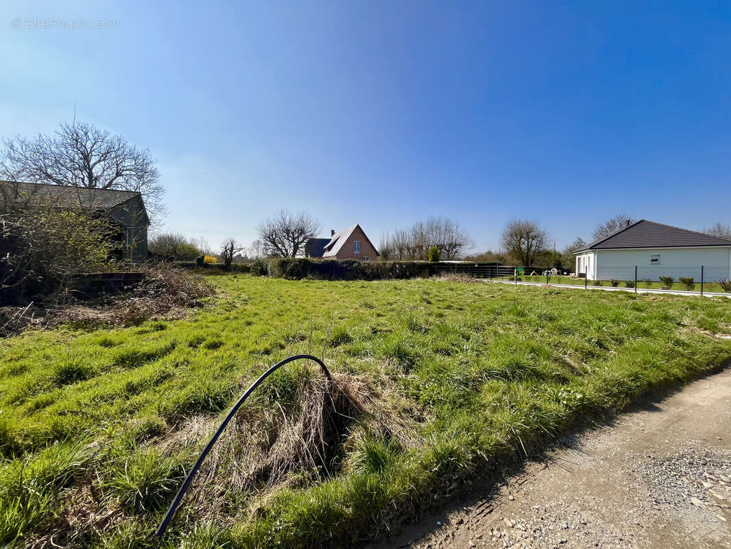 Terrain à BUCHY
