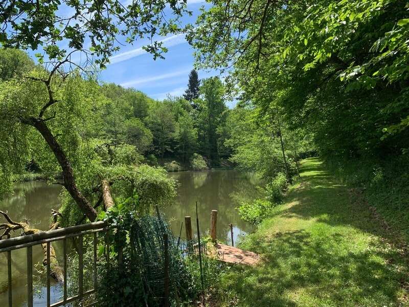 Terrain à PRESSIGNAC