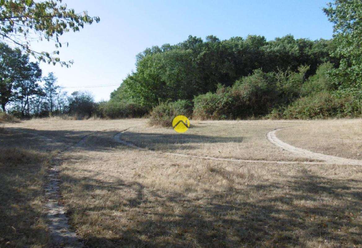Sur prés d'un hectare - photo 20