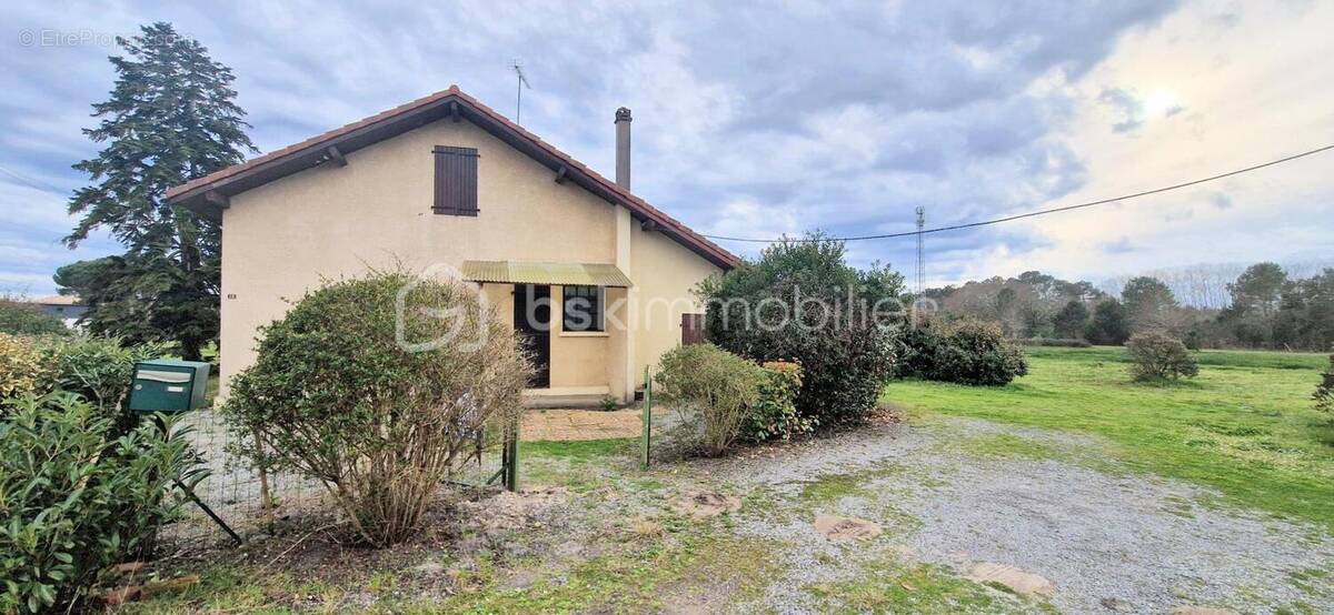 Maison à MESSANGES