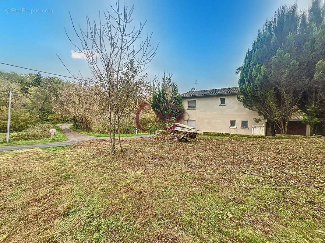 Terrain à LANGOIRAN