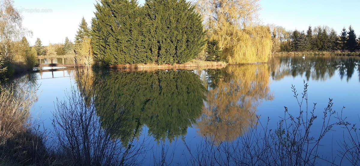 Terrain à CHATEAU-SALINS