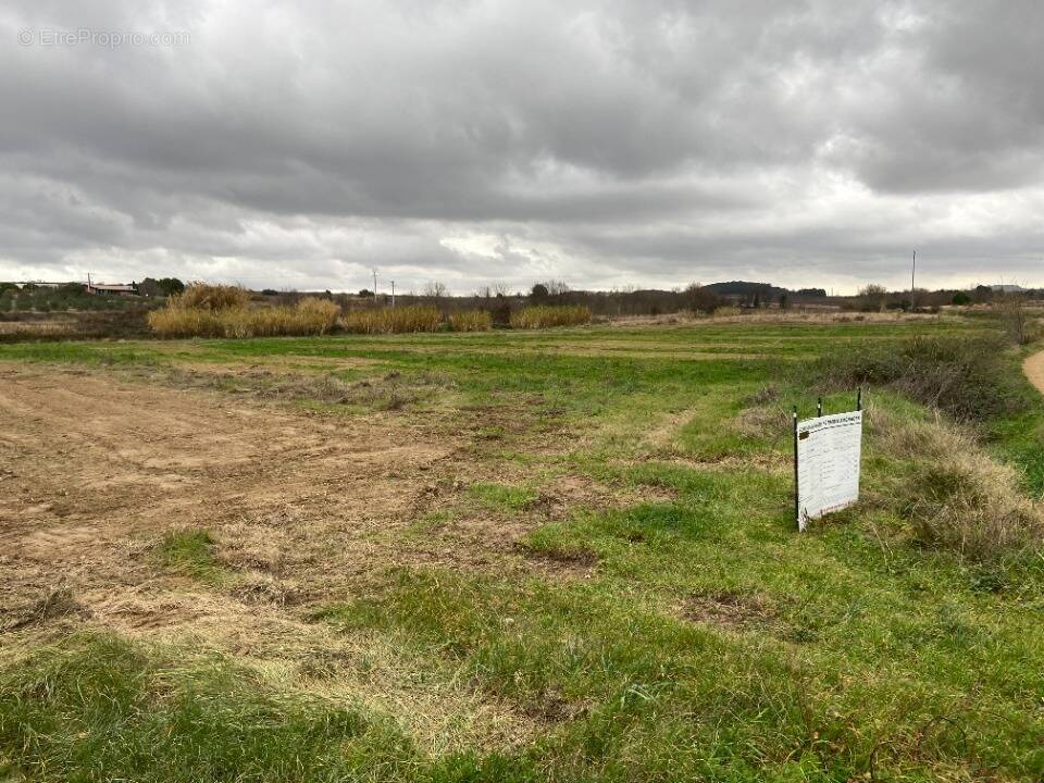 Terrain à PUISSERGUIER
