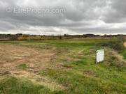 Terrain à PUISSERGUIER