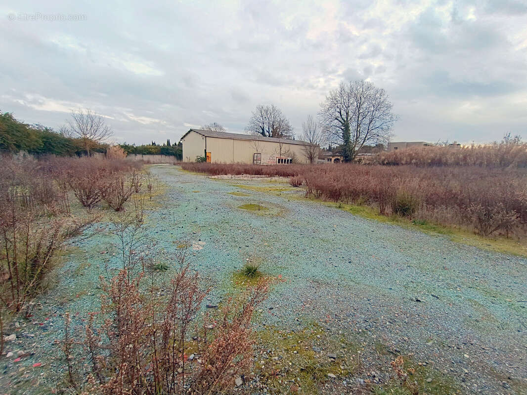 Commerce à CARCASSONNE
