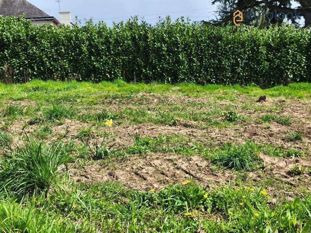 Terrain à MISSIRIAC