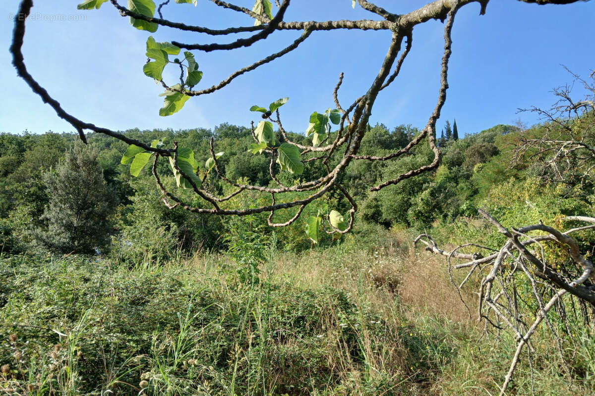 Terrain à REYNES