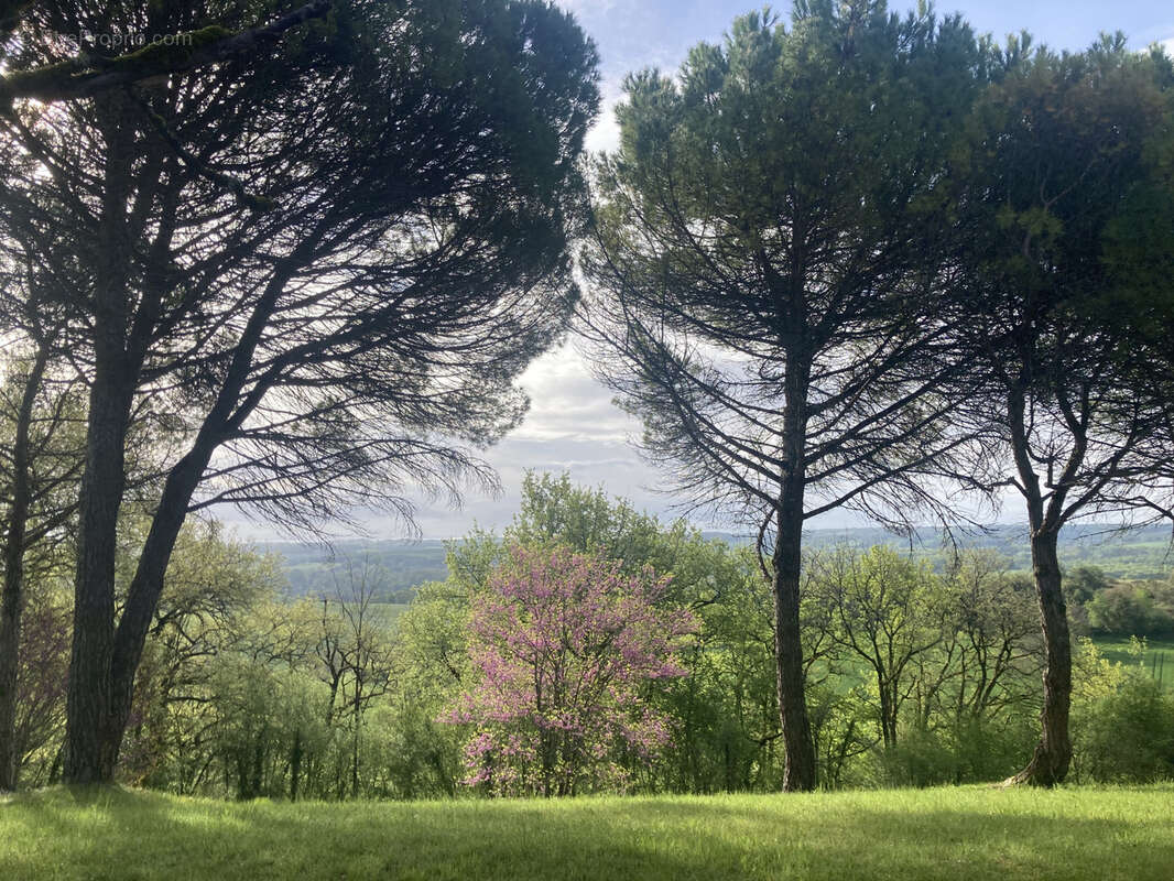 Maison à MONTAGRIER