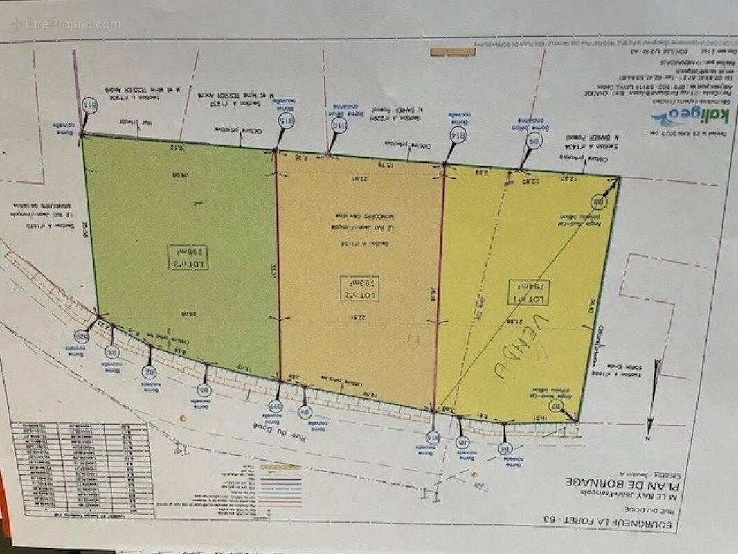 Photo 1 - Terrain à LE BOURGNEUF-LA-FORET