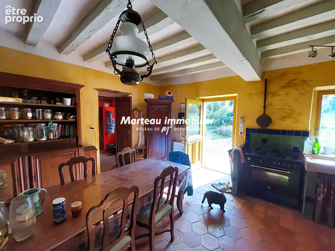 Marigné-laillé - propriété d'exception  - 250 m2 - photo 5