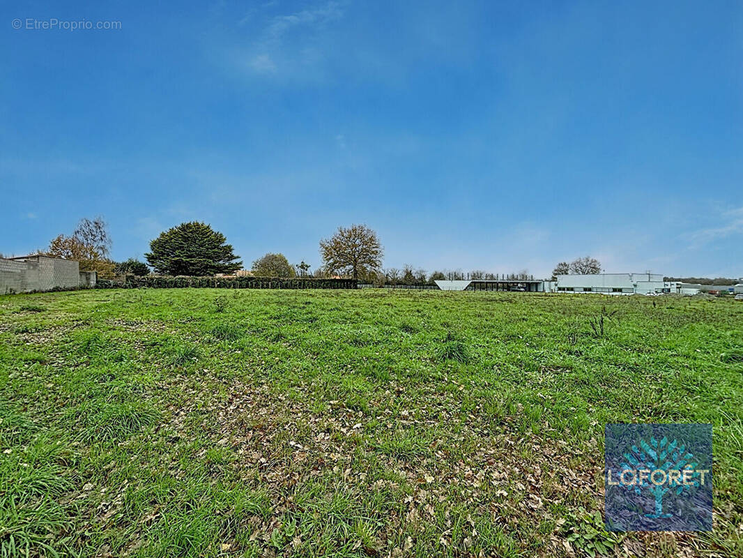 Terrain à LES ESSARTS