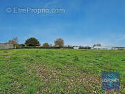 Terrain à LES ESSARTS