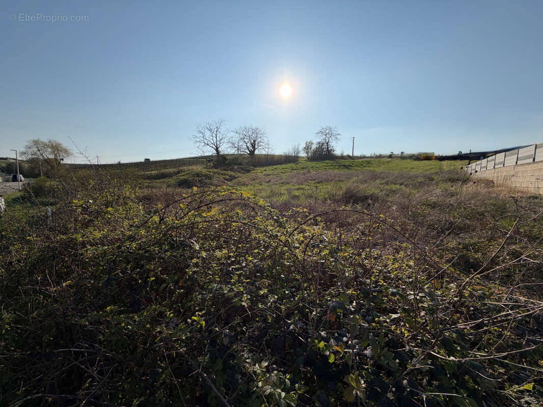 Terrain à ARBOIS