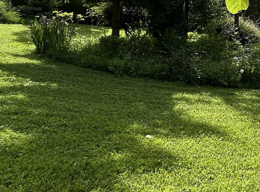 Terrain à LA FERTE-GAUCHER