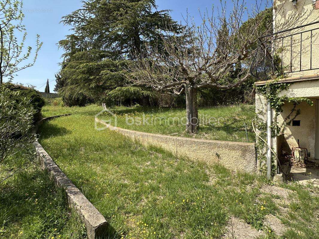 Terrain à MONTFRIN