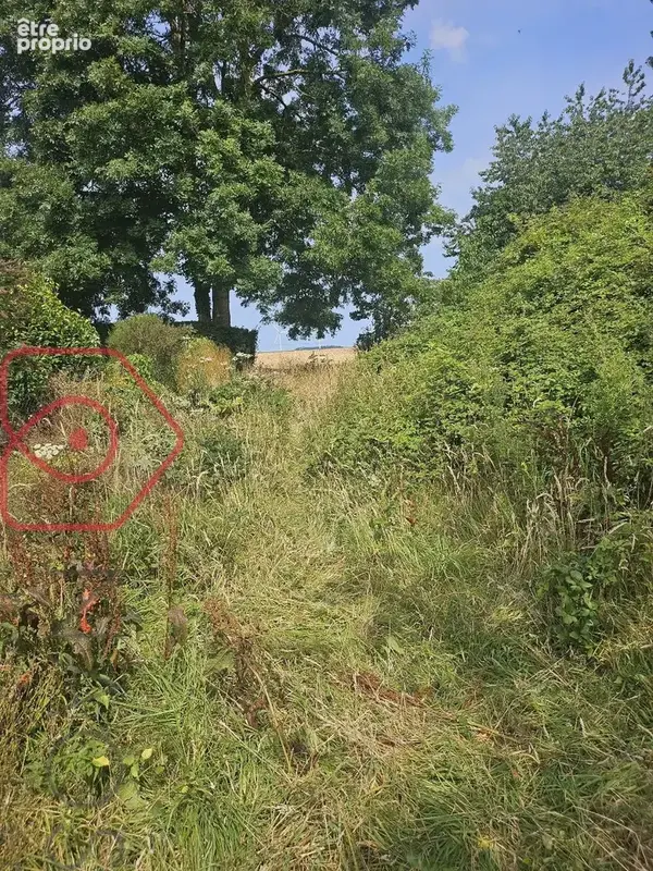 Ensemble immobilier et foncier de plus de 8 000 m²  Maison à réhabiliter & Terrain constructible et terrain agricole a 5 mns de - photo 3