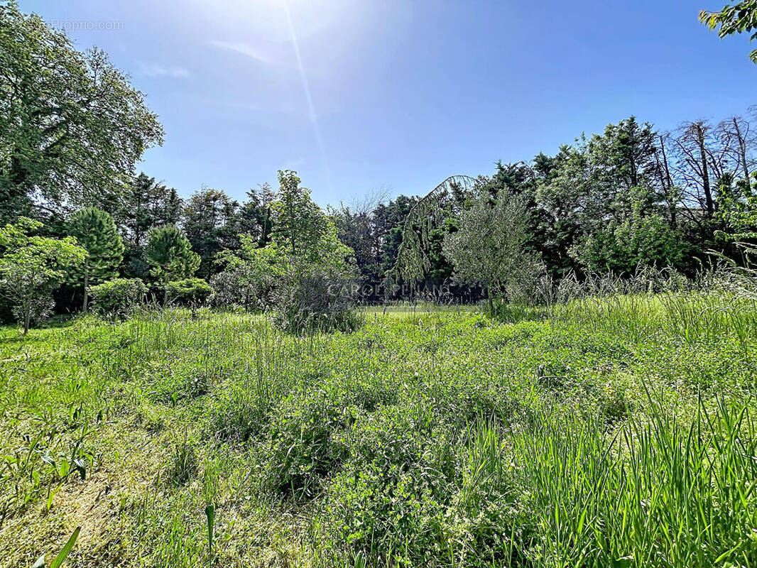 Terrain à LE PONTET