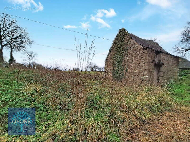 Maison à SAINT-OUEN-DES-ALLEUX