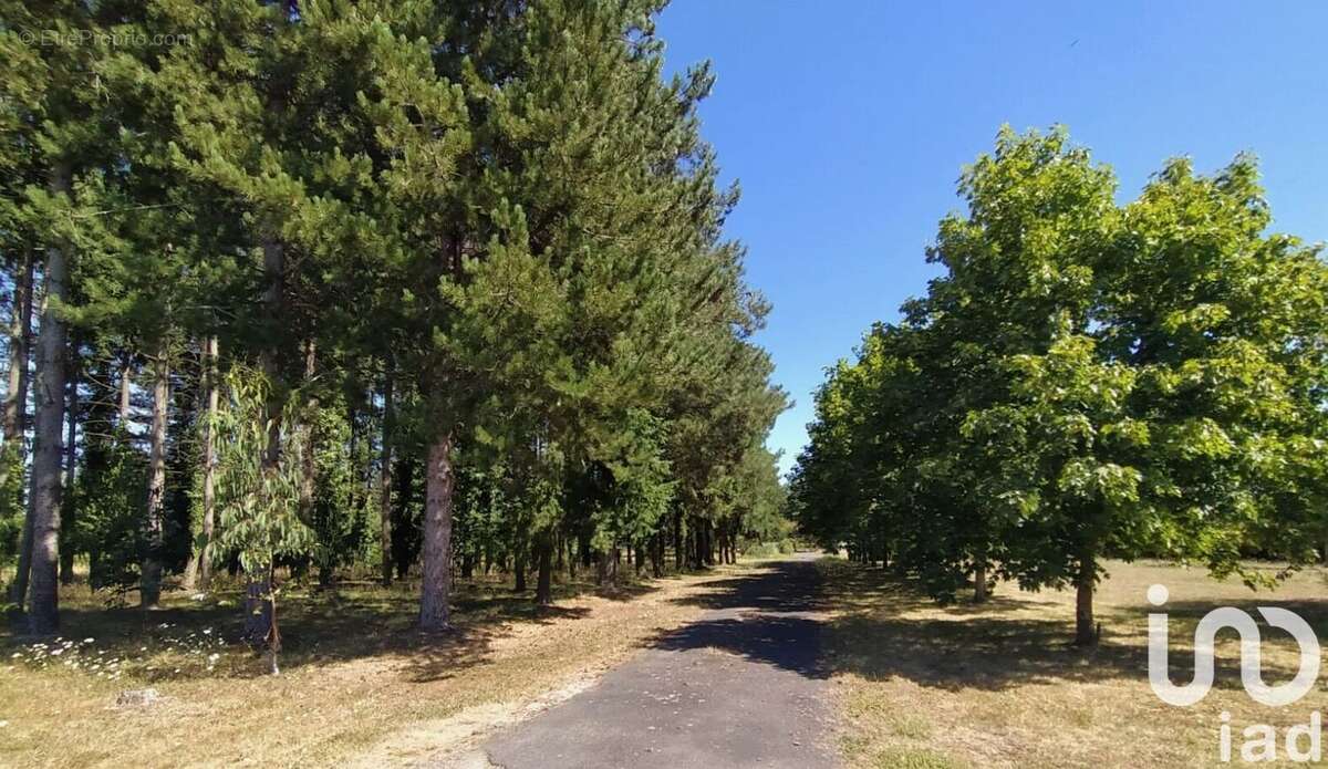 Photo 3 - Maison à VILLIERS-AU-BOUIN