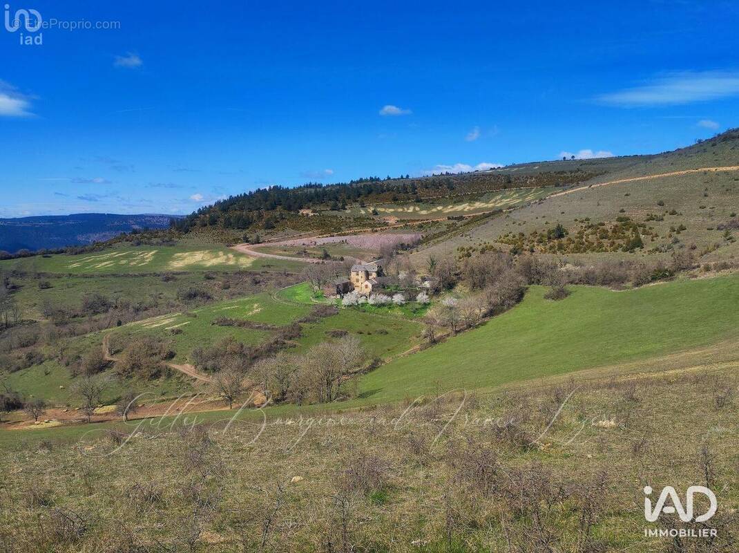 Photo 1 - Maison à FLORAC