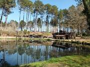 Maison à VILLANDRAUT