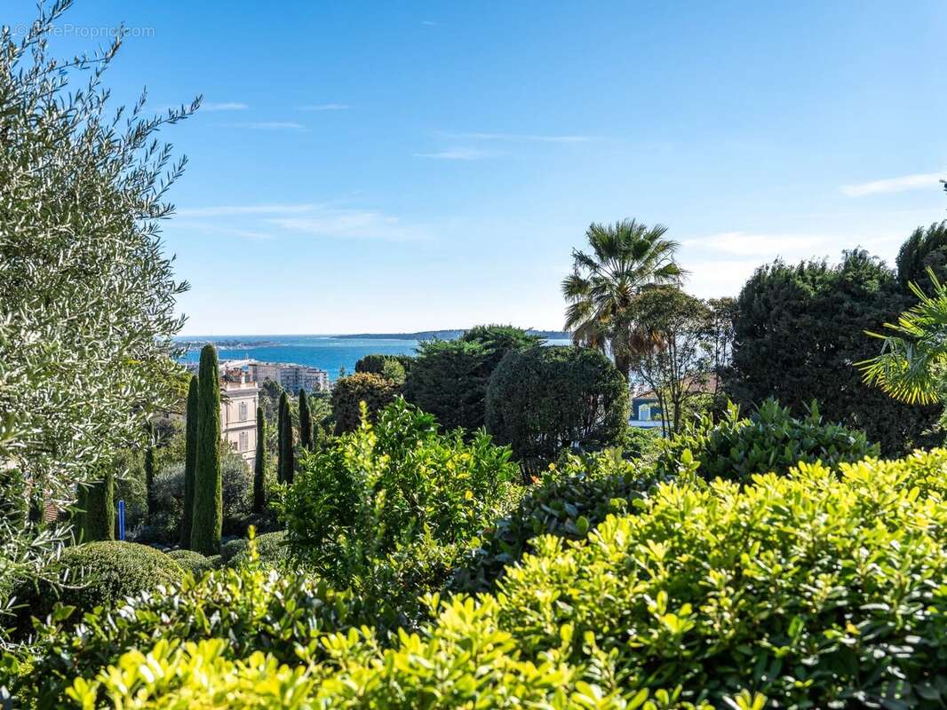 Appartement à CANNES