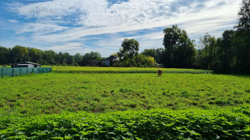 Terrain à SAINT-AULAIRE
