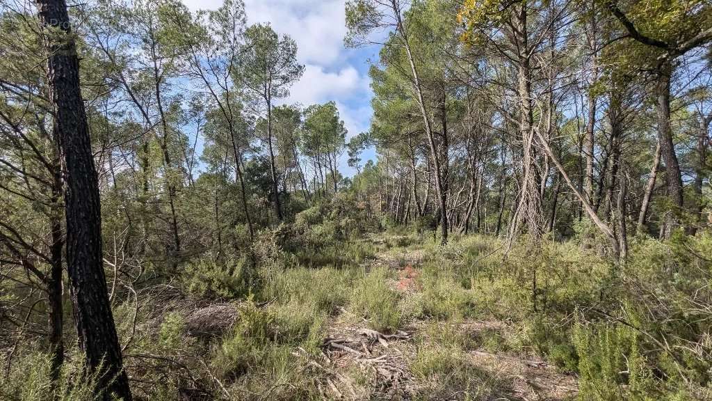 Terrain à VILLECROZE