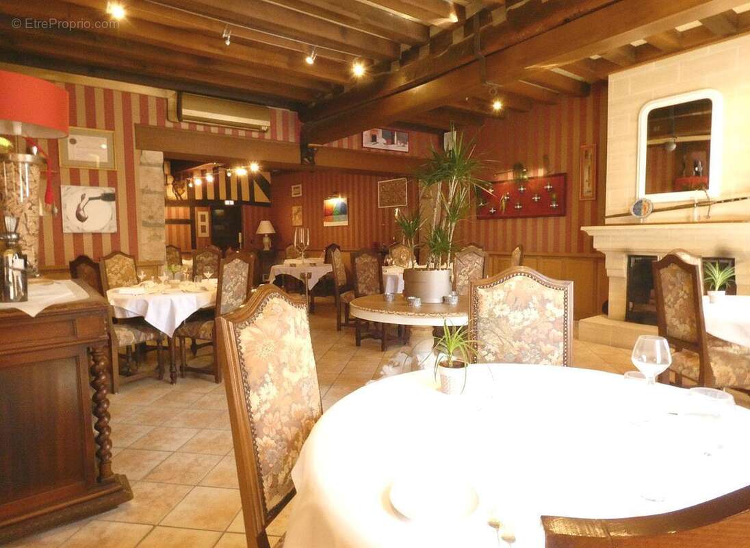 Commerce à VIENNE-EN-VAL