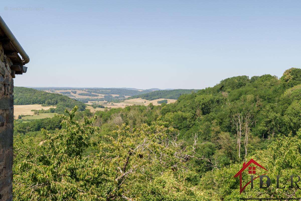 RARE   Maison de Village avec Vue et Potentiel à Coiffy-le- - photo 20