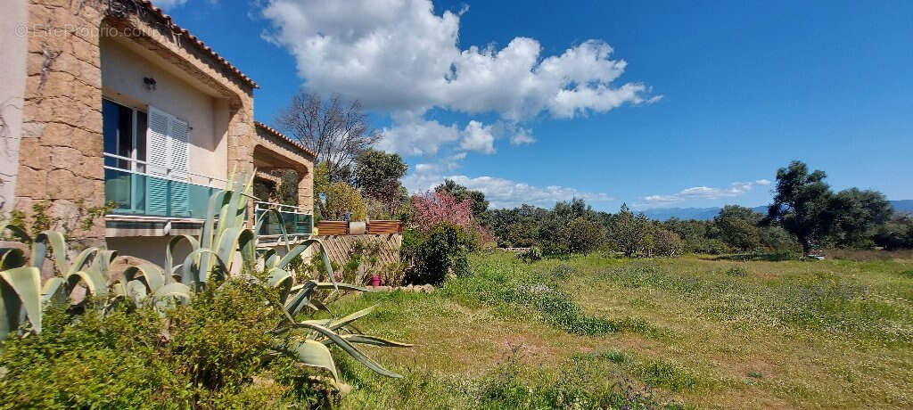 Appartement à COTI-CHIAVARI