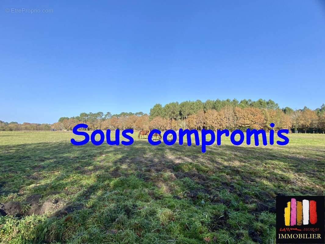 Terrain à MEZOS