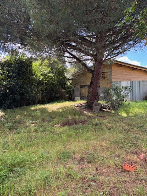 Terrain à LE BURGAUD