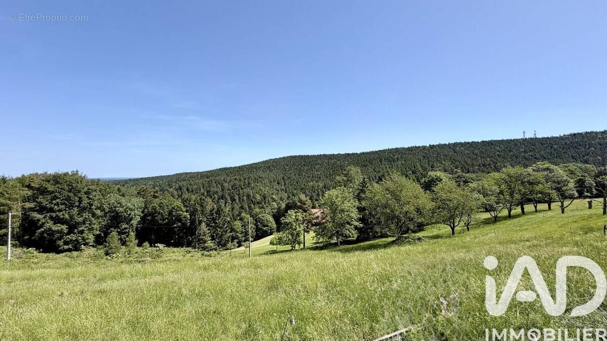 Photo 1 - Terrain à DABO