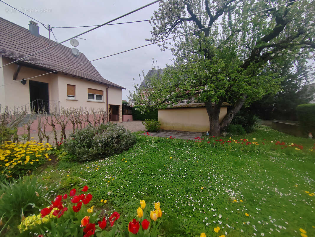 Maison de caractère au cœur des Trois Frontières   Blotzheim - photo 11