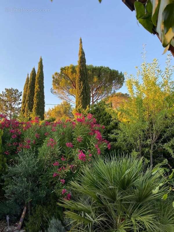 Maison à SAINT-ANTONIN-DU-VAR