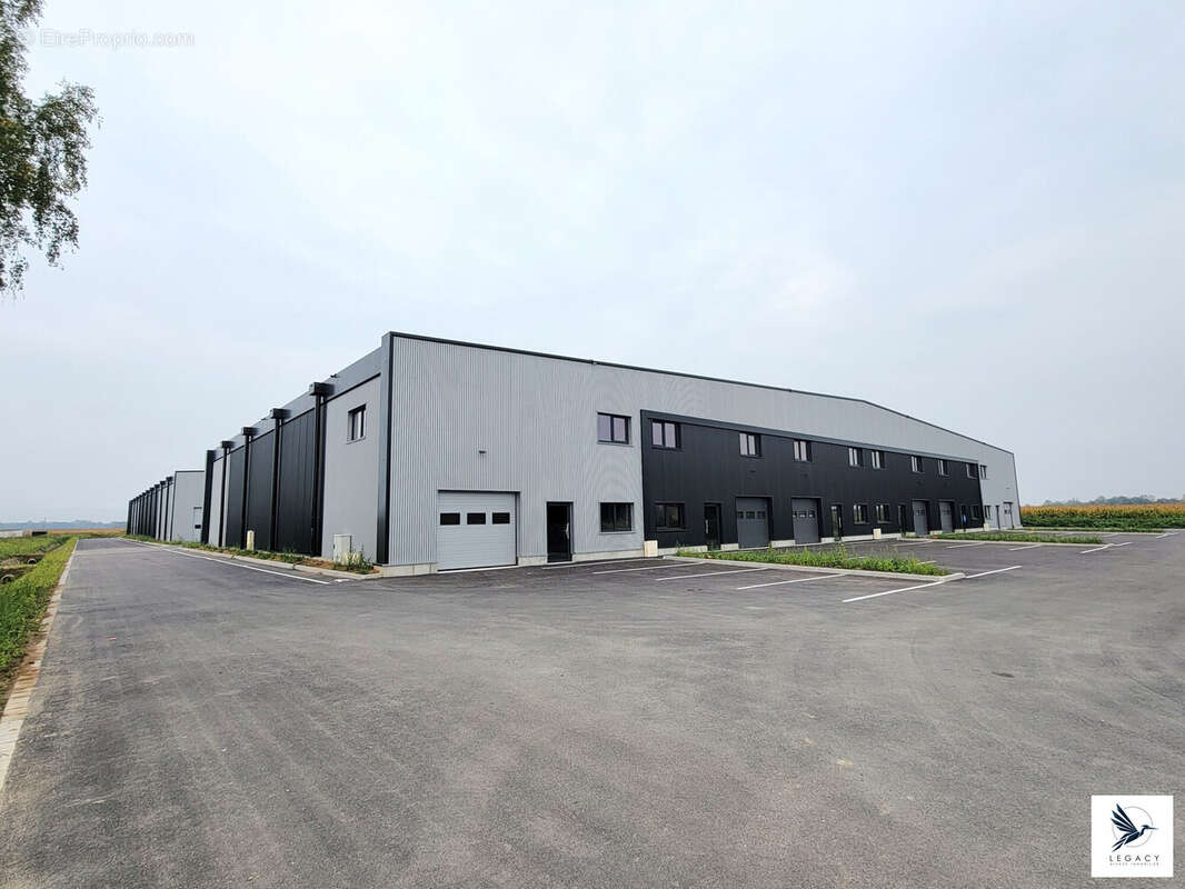 Commerce 159 m² à Fegersheim  - photo 2