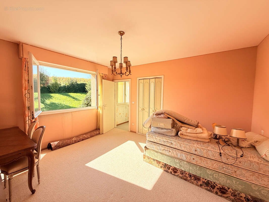 Maison à RIBEAUVILLE