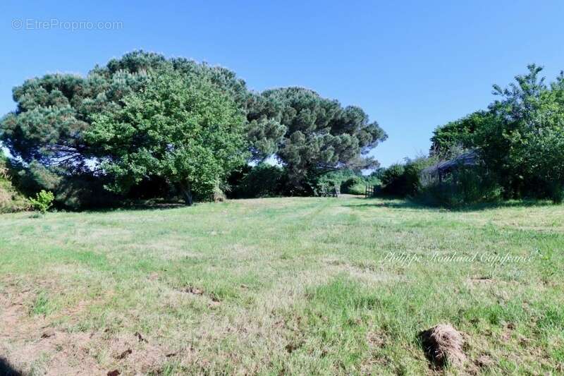 Maison à LA CHAPELLE-THEMER