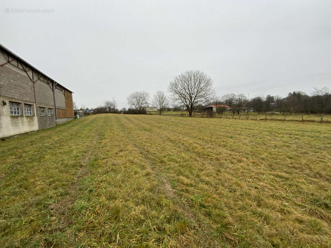 Maison à FRANCALMONT