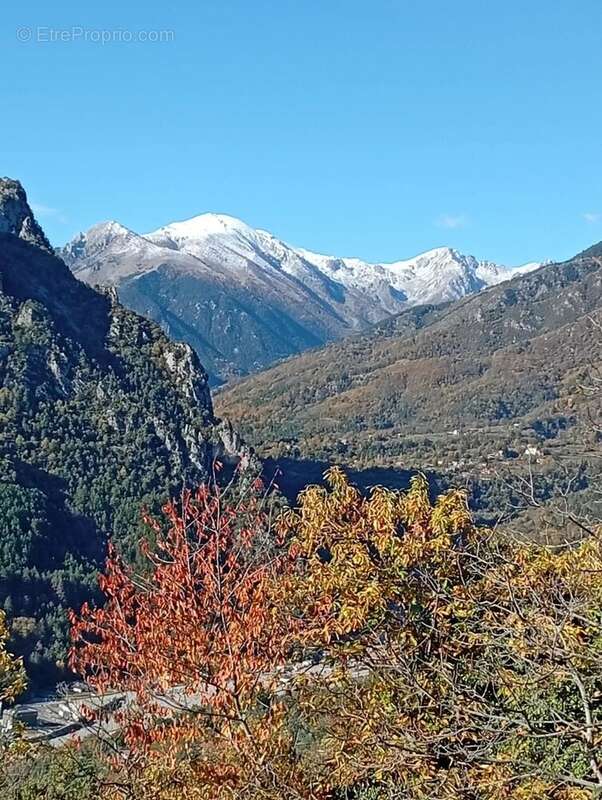 Maison à ROQUEBILLIERE