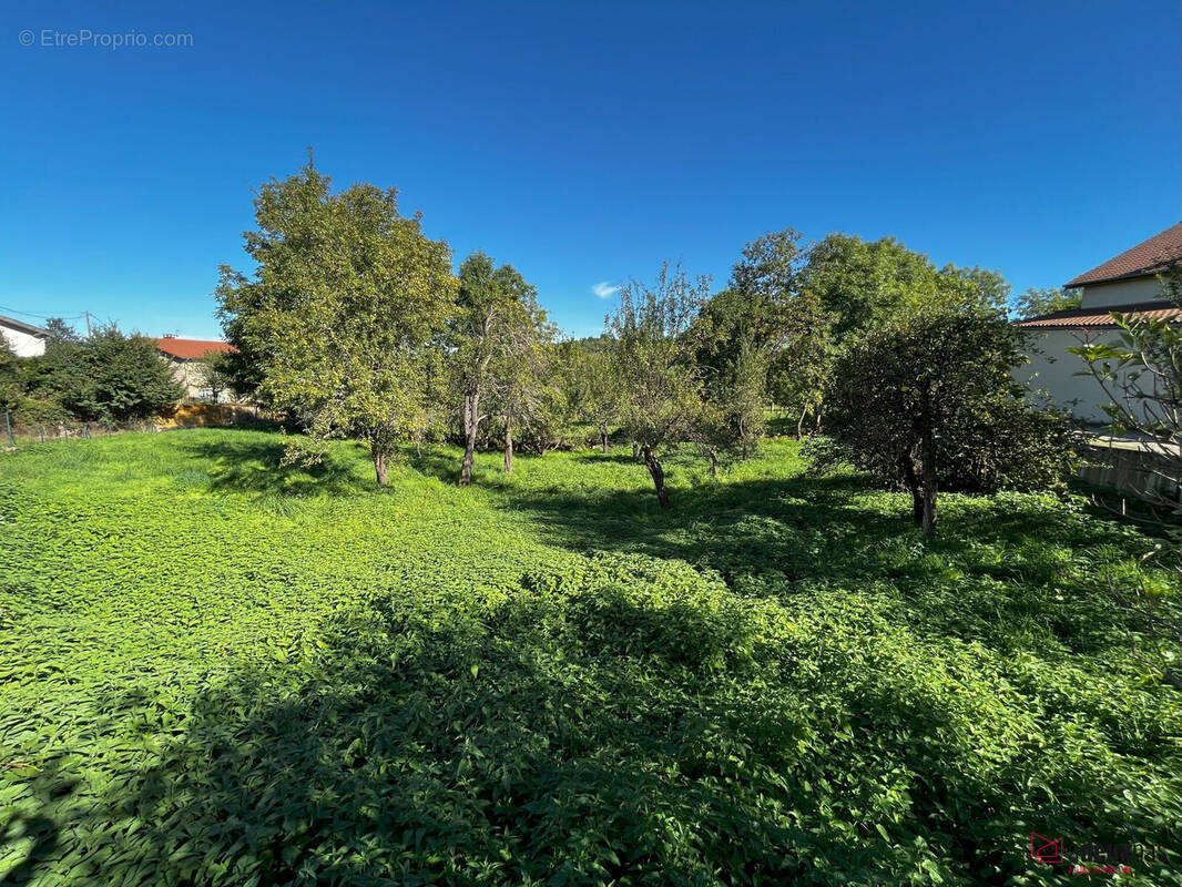 Terrain constructible 910m² - Terrain à SAINT-MAURICE-EN-GOURGOIS