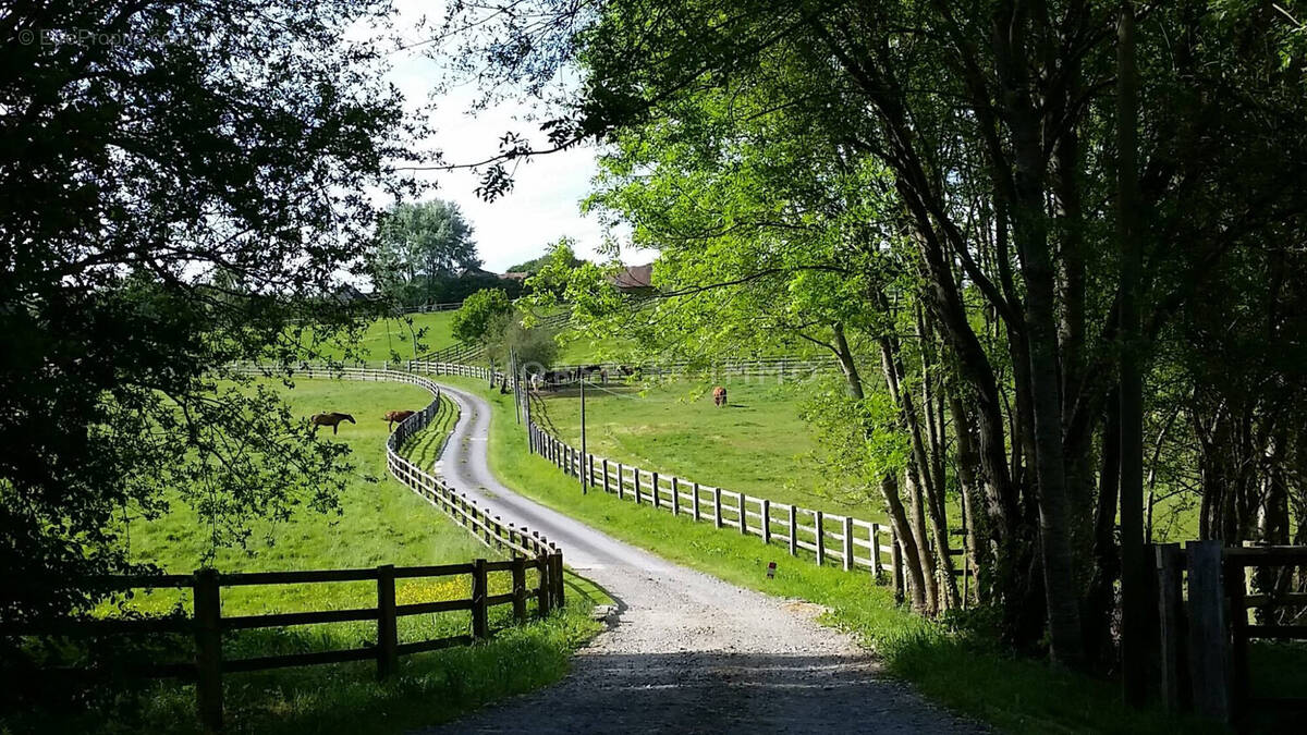 Maison à SAINT-GERMAIN-DE-LA-COUDRE