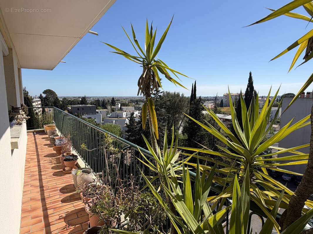 Appartement à MONTPELLIER