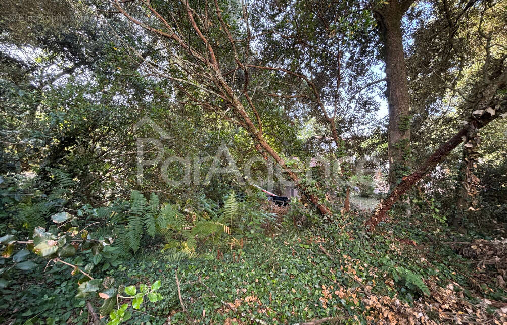 Terrain à VAUX-SUR-MER